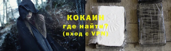 прущие грибы Арсеньев