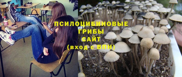 PSILOCYBIN Армянск